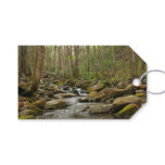LeConte Creek at Great Smoky Mountains Gift Tags