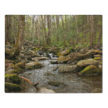 LeConte Creek at Great Smoky Mountains Jigsaw Puzzle