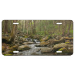 LeConte Creek at Great Smoky Mountains License Plate