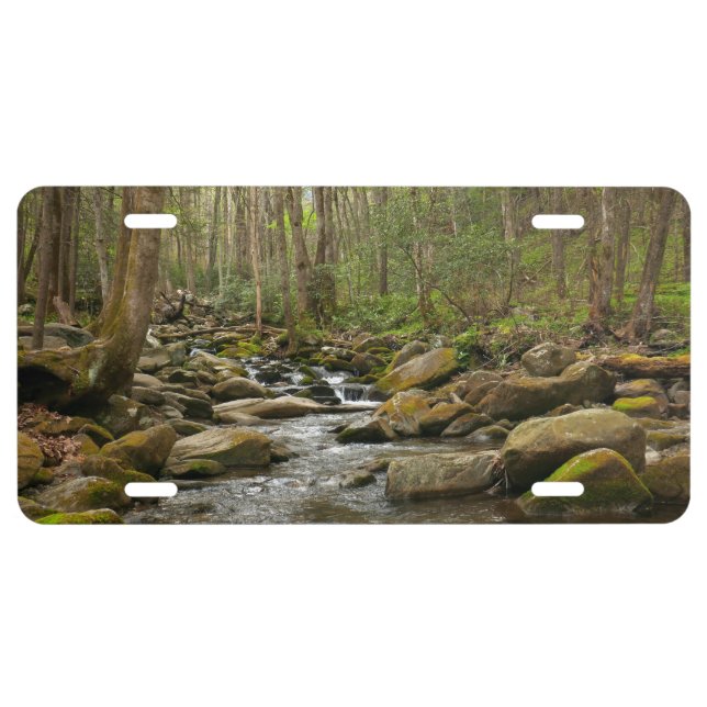 LeConte Creek at Great Smoky Mountains License Plate (Front)