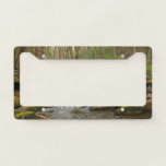 LeConte Creek at Great Smoky Mountains License Plate Frame