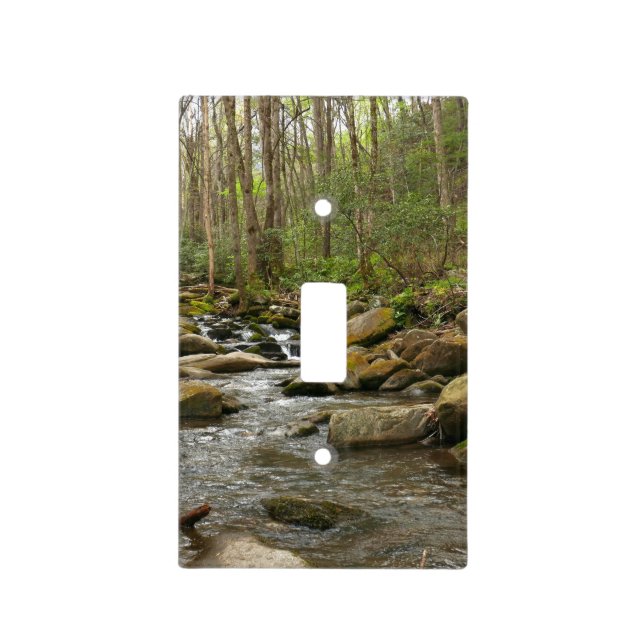LeConte Creek at Great Smoky Mountains Light Switch Cover (Front)