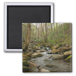 LeConte Creek at Great Smoky Mountains Magnet