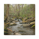 LeConte Creek at Great Smoky Mountains Magnet