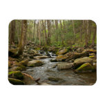 LeConte Creek at Great Smoky Mountains Magnet