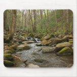LeConte Creek at Great Smoky Mountains Mouse Pad