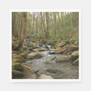 LeConte Creek at Great Smoky Mountains Napkins