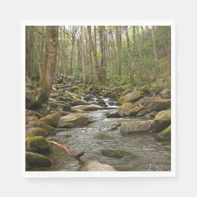 LeConte Creek at Great Smoky Mountains Napkins (Front)