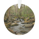 LeConte Creek at Great Smoky Mountains Ornament