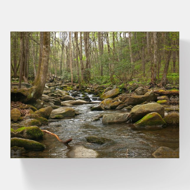 LeConte Creek at Great Smoky Mountains Paperweight (Front)