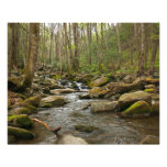 LeConte Creek at Great Smoky Mountains Photo Print