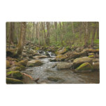 LeConte Creek at Great Smoky Mountains Placemat