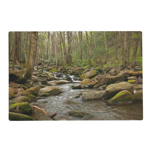 LeConte Creek at Great Smoky Mountains Placemat (Front)