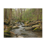 LeConte Creek at Great Smoky Mountains Postcard