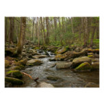 LeConte Creek at Great Smoky Mountains Poster