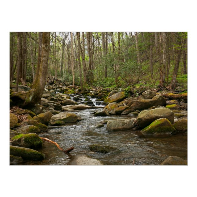 LeConte Creek at Great Smoky Mountains Poster (Front)