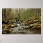 LeConte Creek at Great Smoky Mountains Poster
