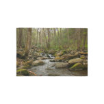 LeConte Creek at Great Smoky Mountains Rug