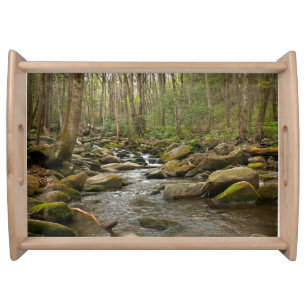 LeConte Creek at Great Smoky Mountains Serving Tray