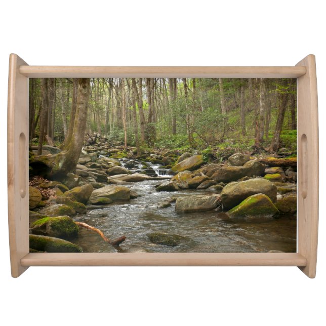 LeConte Creek at Great Smoky Mountains Serving Tray (Front)