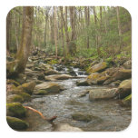 LeConte Creek at Great Smoky Mountains Square Sticker