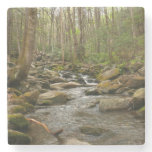 LeConte Creek at Great Smoky Mountains Stone Coaster