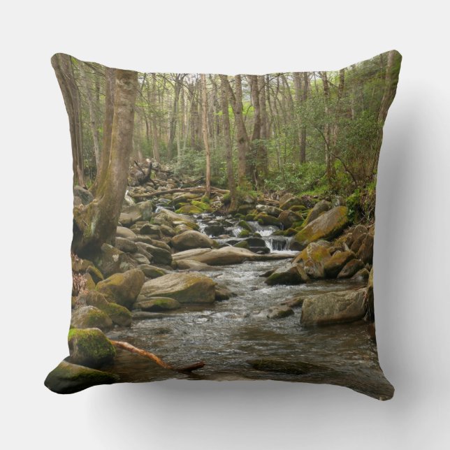 LeConte Creek at Great Smoky Mountains Throw Pillow (Front)