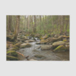 LeConte Creek at Great Smoky Mountains Tissue Paper