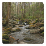 LeConte Creek at Great Smoky Mountains Trivet