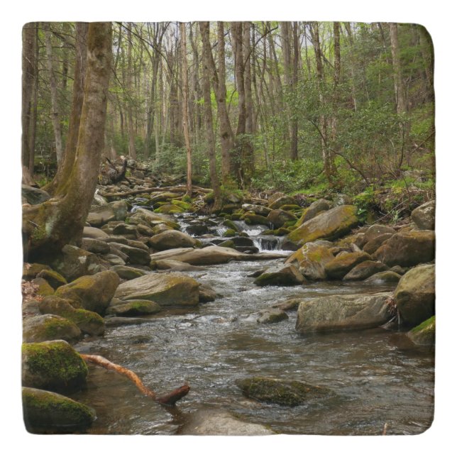 LeConte Creek at Great Smoky Mountains Trivet (Front)
