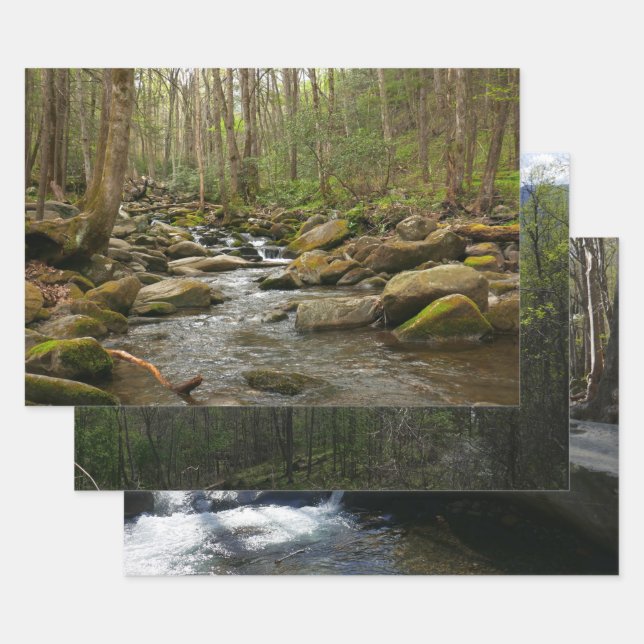 LeConte Creek at Great Smoky Mountains Wrapping Paper Sheets (Set)