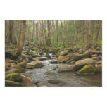 LeConte Creek at Great Smoky Mountains Wrapping Paper Sheets