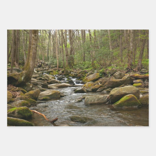 LeConte Creek at Great Smoky Mountains Wrapping Paper Sheets (Front)