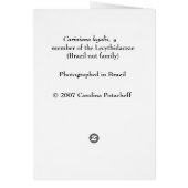 LECYTHIDACEAE: Cariniana legalis (Back)