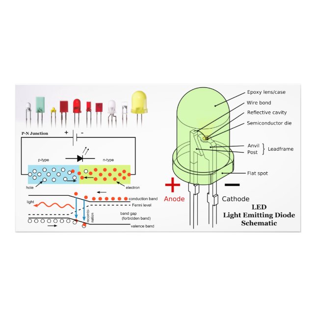 LED Light Emitting Diode Schematic Photo Print (Front)