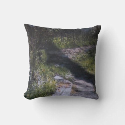 Ledges State Park Winding Path Throw Pillow