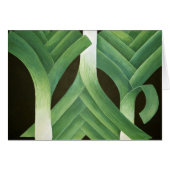 Leeks 2014 (Front Horizontal)