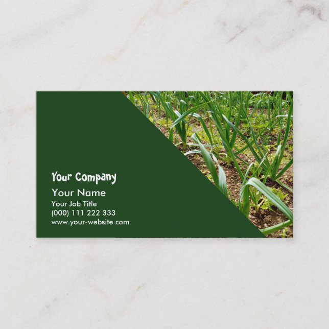 Leeks in vegetable garden business card (Front)