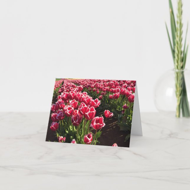 Leen Van Der Mark Tulips, Oregon Card (Front)