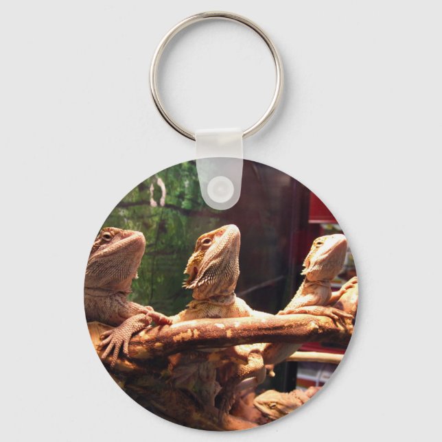 Leezard Trio Keychain (Front)