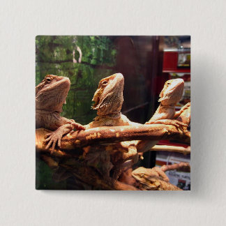 Leezard Trio Pinback Button