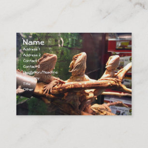 Leezerds Business Cards