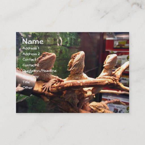 Customizable Leezerds Business Cards