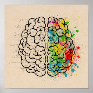 Left And Right Human Brain Poster