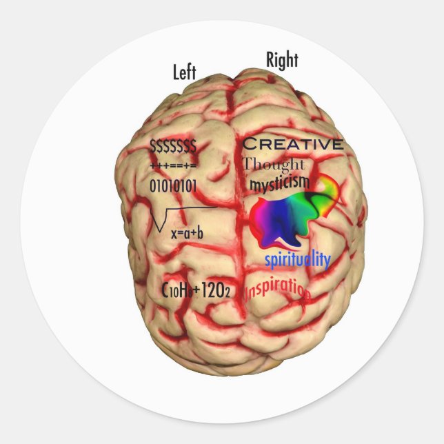 Left and Risht Side of Brain Classic Round Sticker (Front)