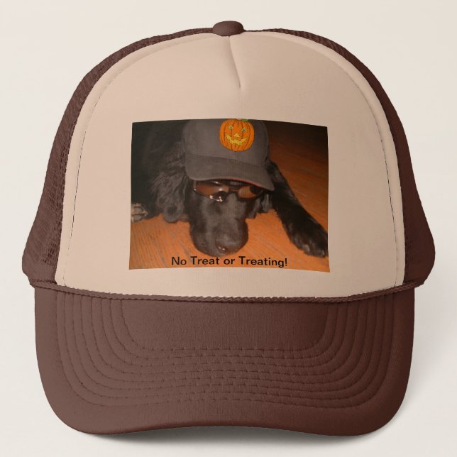 Left Behind This Halloween Hat (Front)