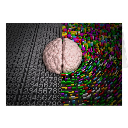 Left Brain & Right Brain (Front Horizontal)