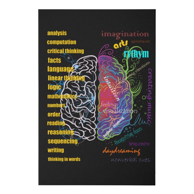 Left Brain Right Brain Hemispheres Faux Canvas Print (Front)