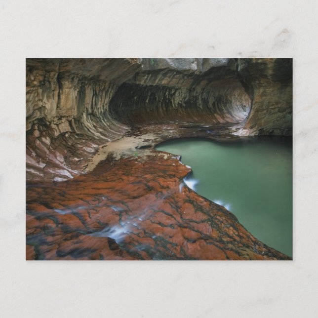 Left Fork | Zion National Park, Utah Postcard (Front)