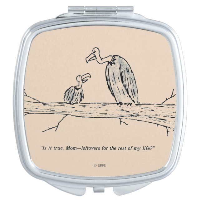 Leftovers Mirror For Makeup (Front)